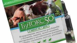 Ботокс от бълха описание, действие, ефективност